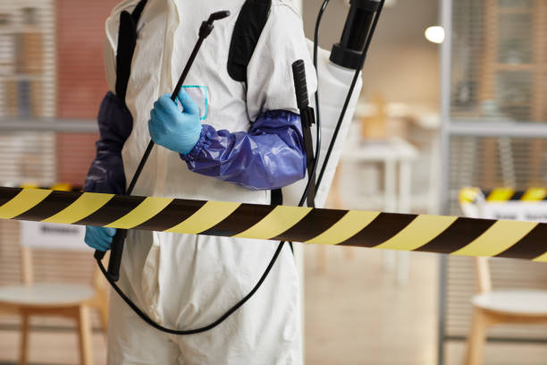 Professional Sewage Cleanup technician working in Hanford, CA